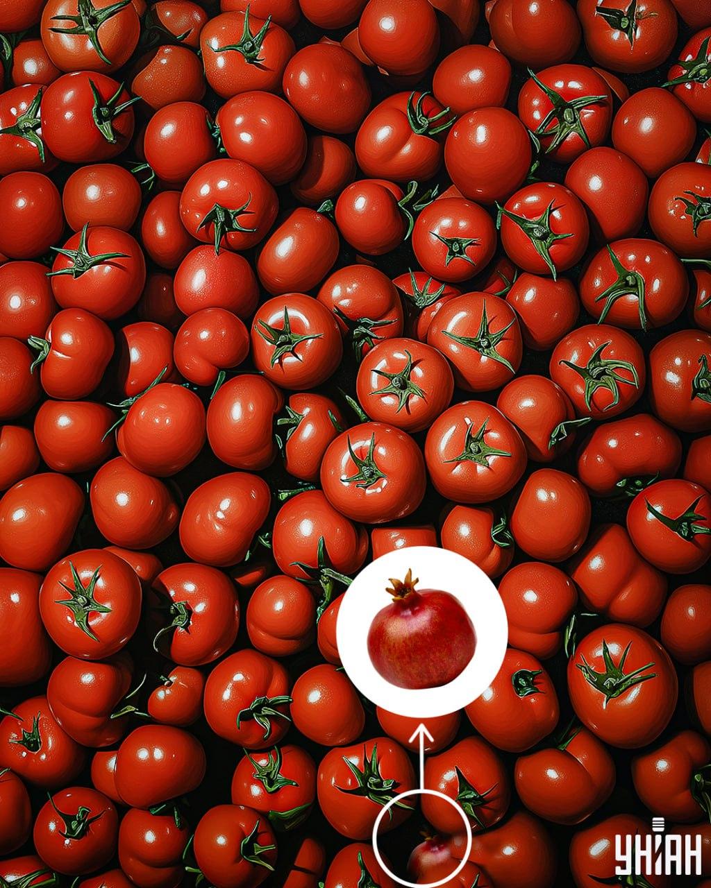 Logikpussel Logikpussel: Vem bär mest vikt?