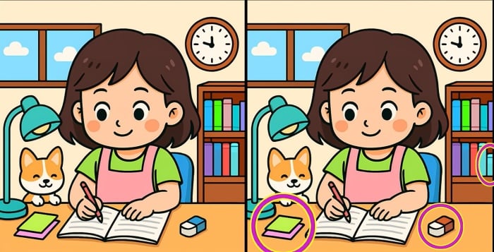 Pussel - Lösningen med skillnaderna markerade