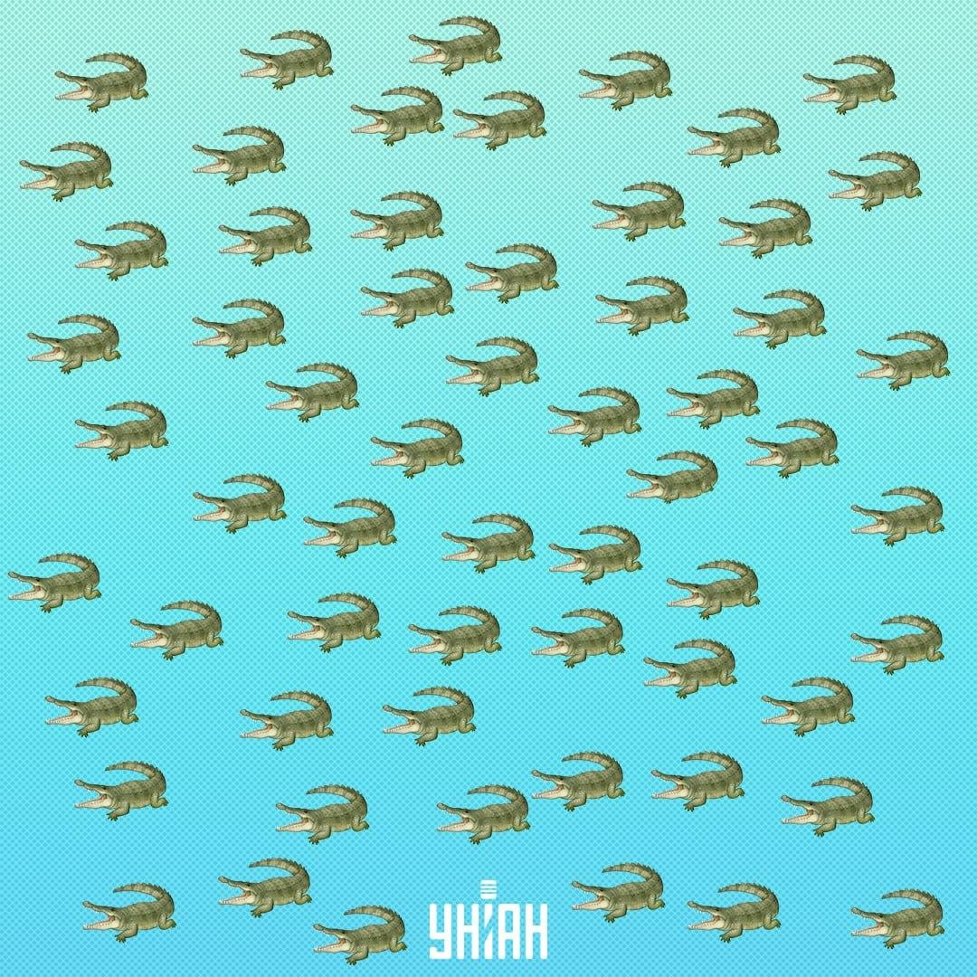 Reptilen är dold, men du bör se den om 15 sekunder / Collage Moje