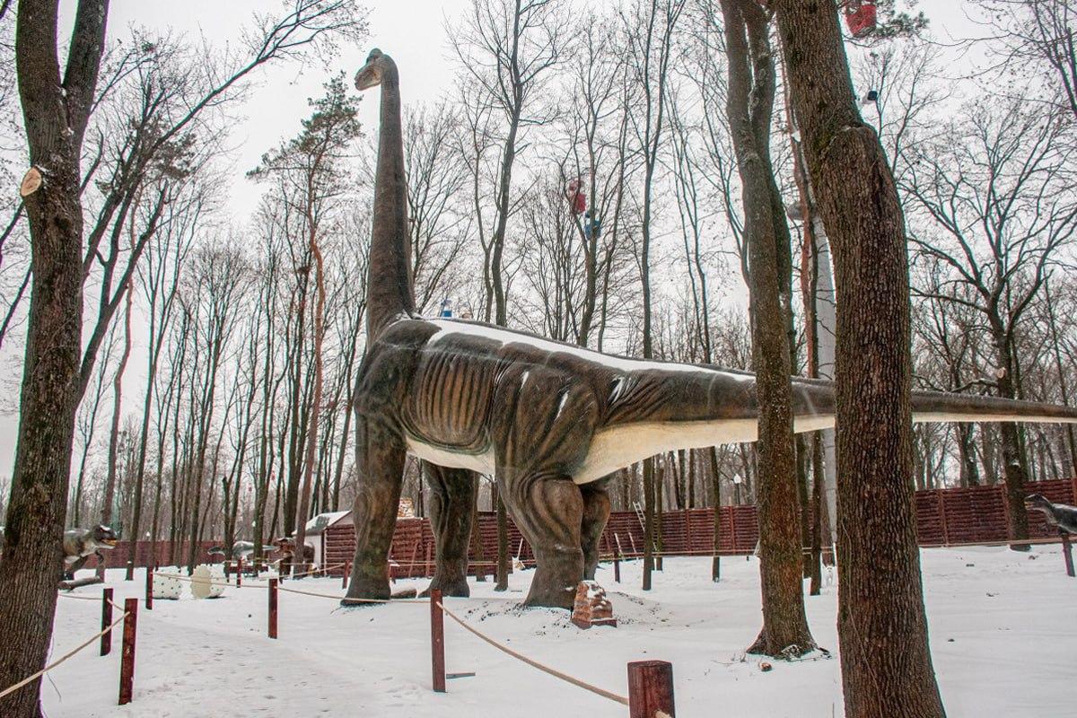 Hitta en hund i snön på 10 sekunder / Moje collage