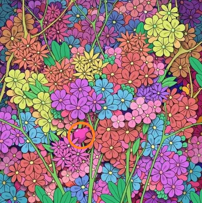 Optisk illusion med lösning Optisk illusion med lösning