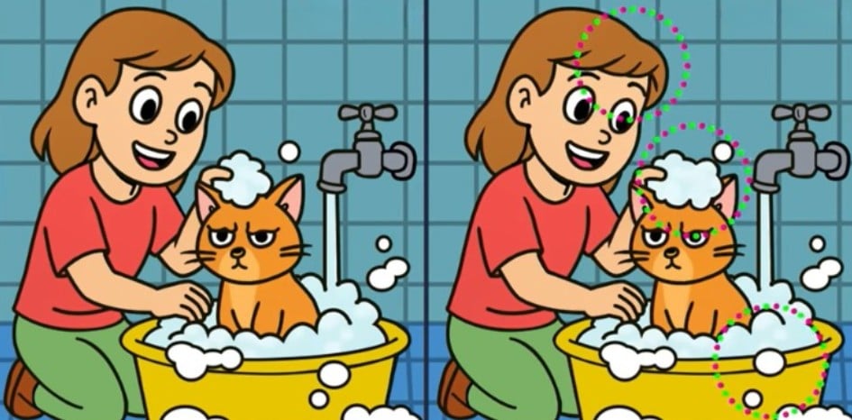 pussel Pussel lösning