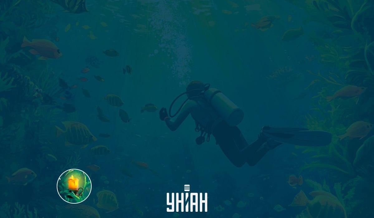 Bild IQ-test / Moje-bild Bild IQ-test / bild Moje