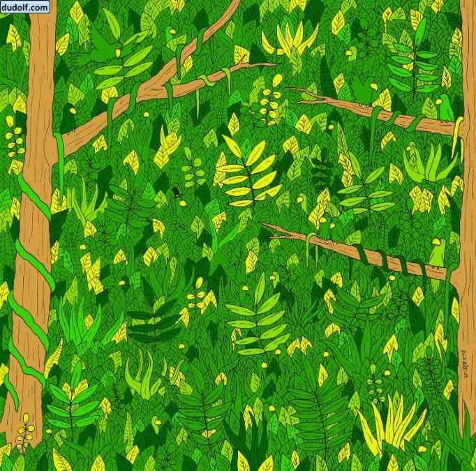 Ser du en orm på bilden Ser du en orm på bilden