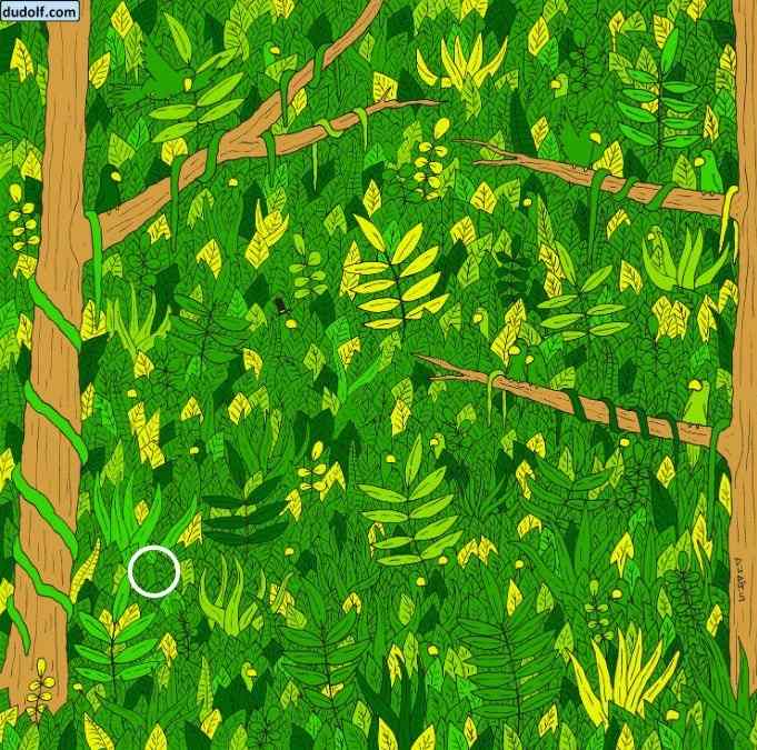 Det korrekta svaret på pusslet Det korrekta svaret på pusslet