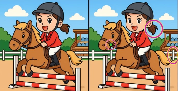 pussel Lösning på pusslet med markerade skillnader