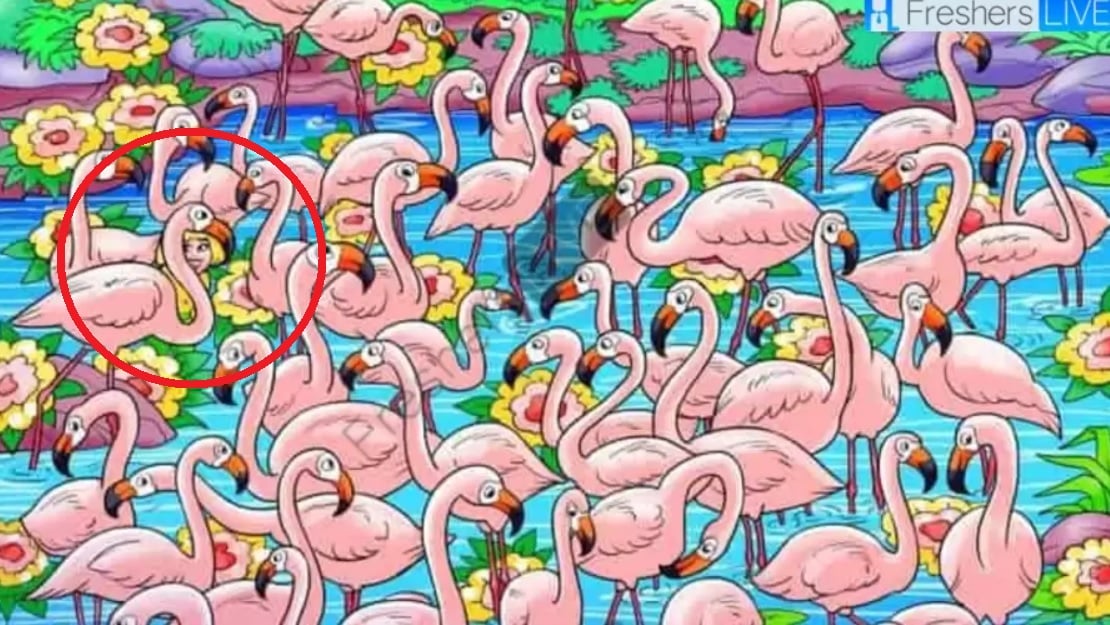 Hitta flickan bland flamingorna på 8 sekunder: det här pusslet kommer att göra dig yr