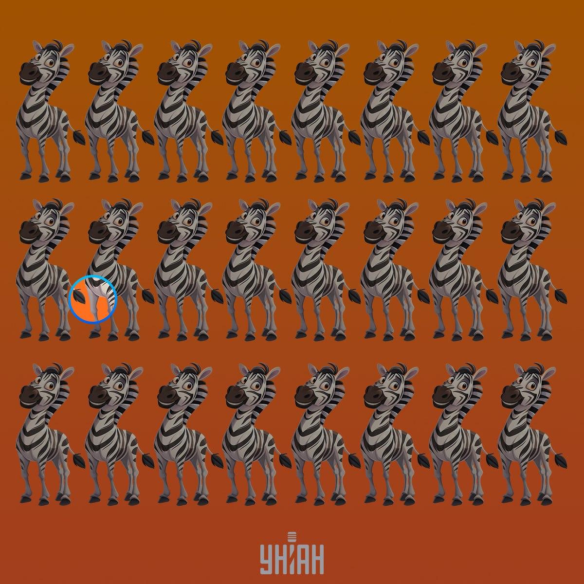 Märklig zebra var i andra raden från toppen / collage Moje En märklig zebra fanns i den andra raden uppifrån / Moje collage