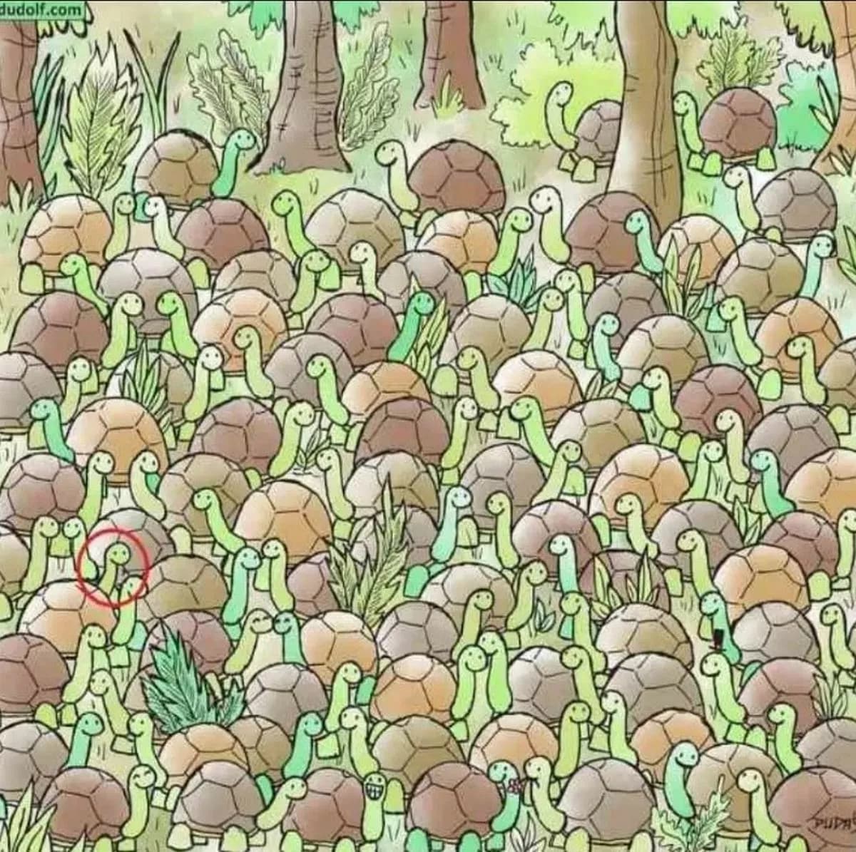 Det rätta svaret på pusslet