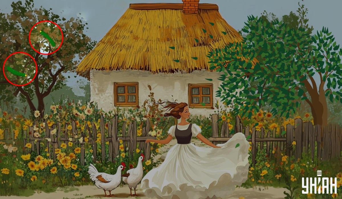 svar / Moje-foto svar / Moje-foto