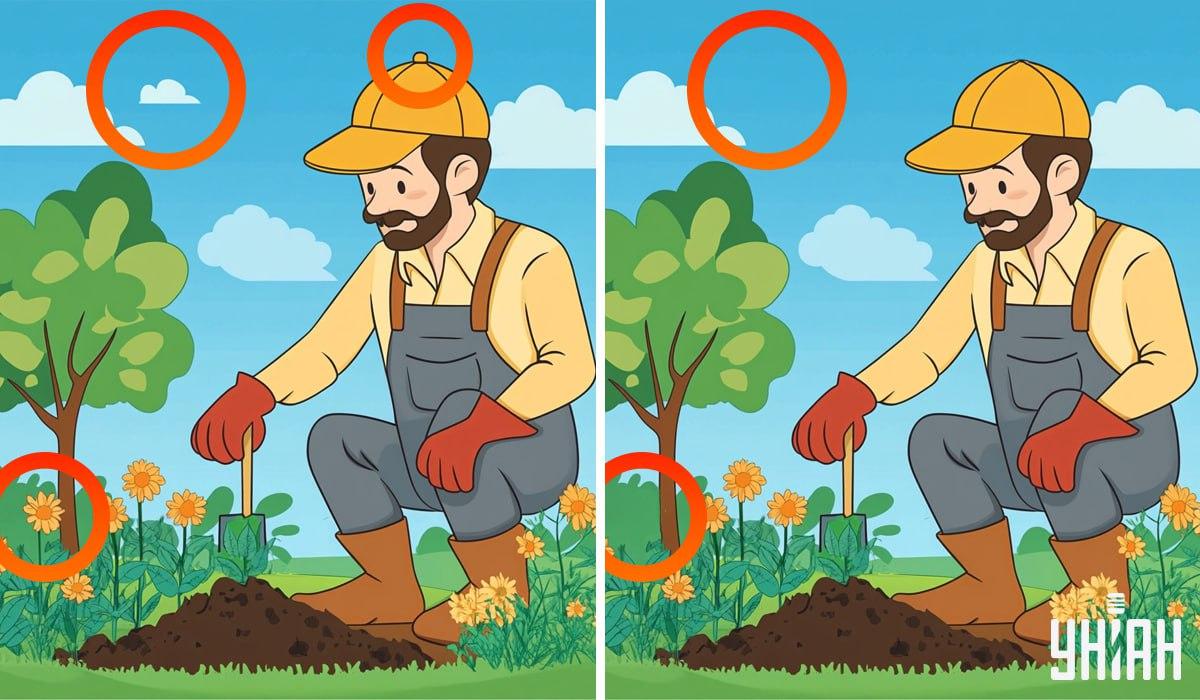 Moje collage Moje collage med markerade skillnader