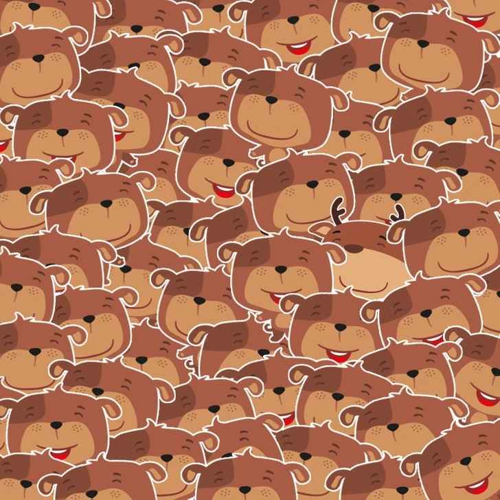 Endast personer med hög IQ klarar det: du måste hitta en hjort bland björnar Endast personer med hög IQ kan hantera det: du måste hitta hjorten bland björnarna