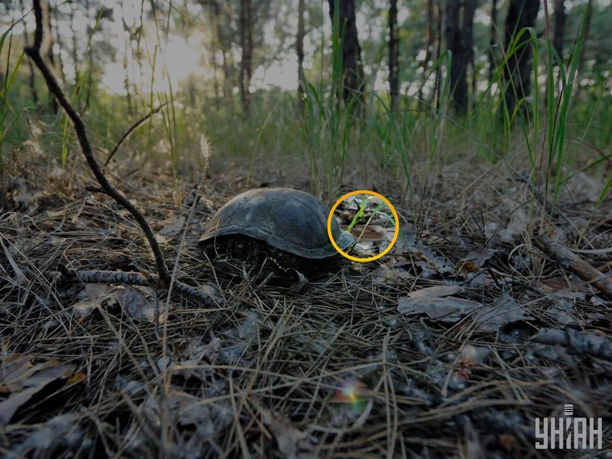 Moje foto med lösning