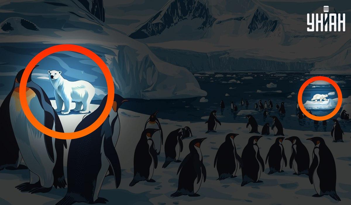 Svar / Moje Svar / Moje