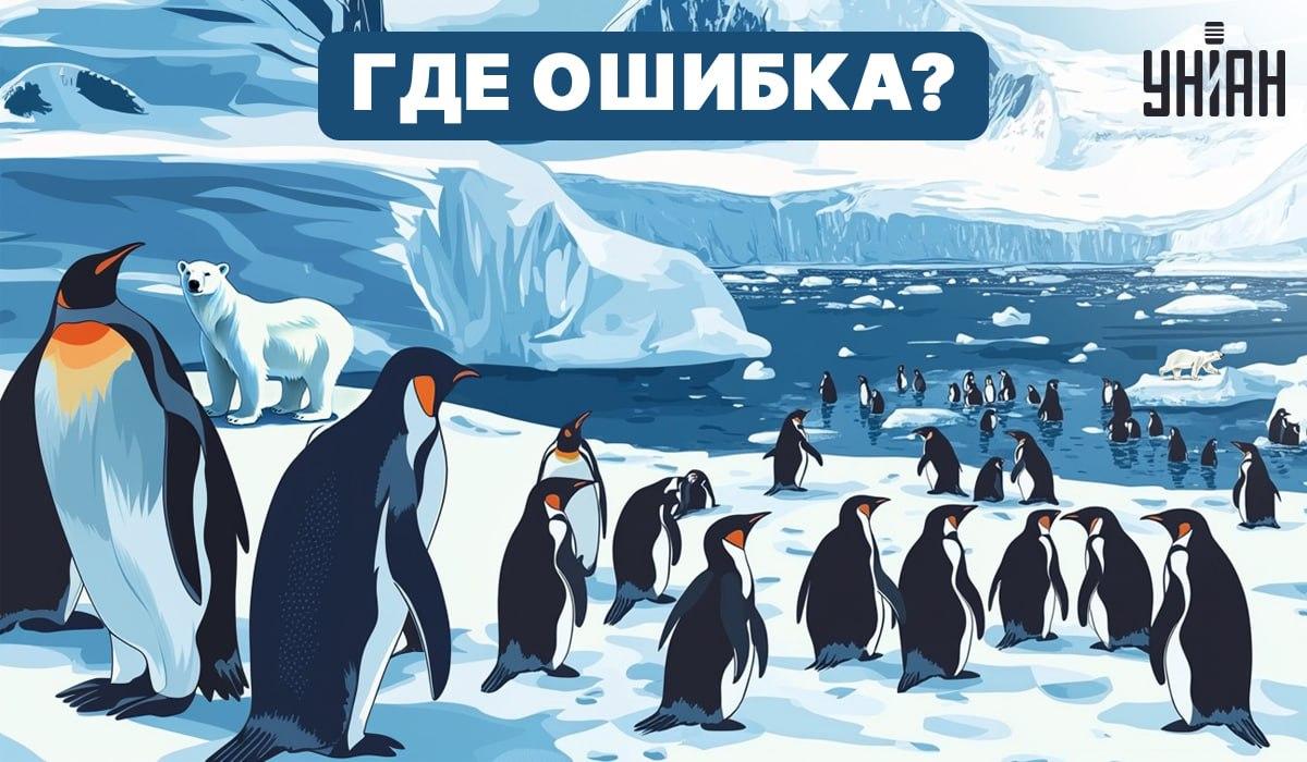 Kan du förstå vad som är fel på bilden? / Moje Kan du lista ut vad som är fel på bilden? / Moje