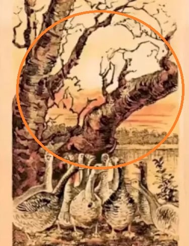 Optisk illusion Optisk illusion