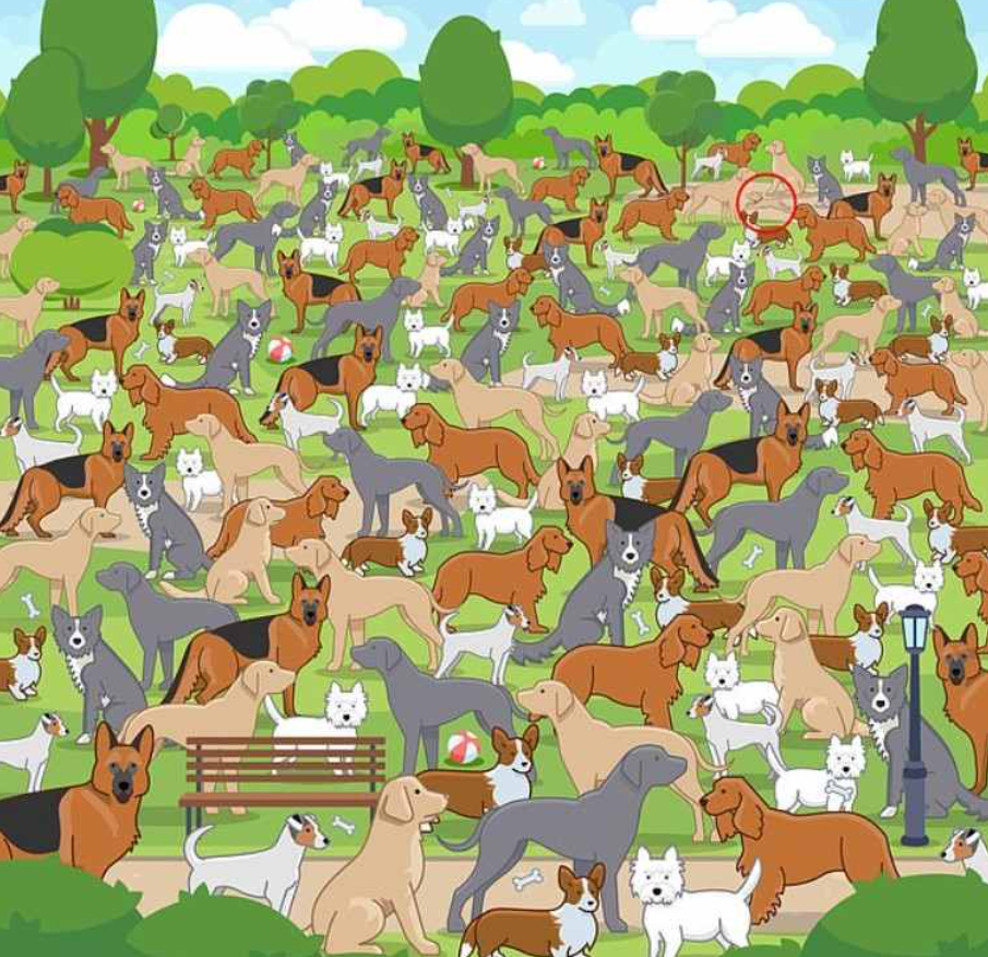 Jagranjosh foto Jagranjosh foto