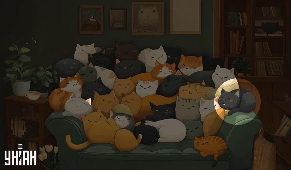 Moje collage med lösning Moje collage med lösning