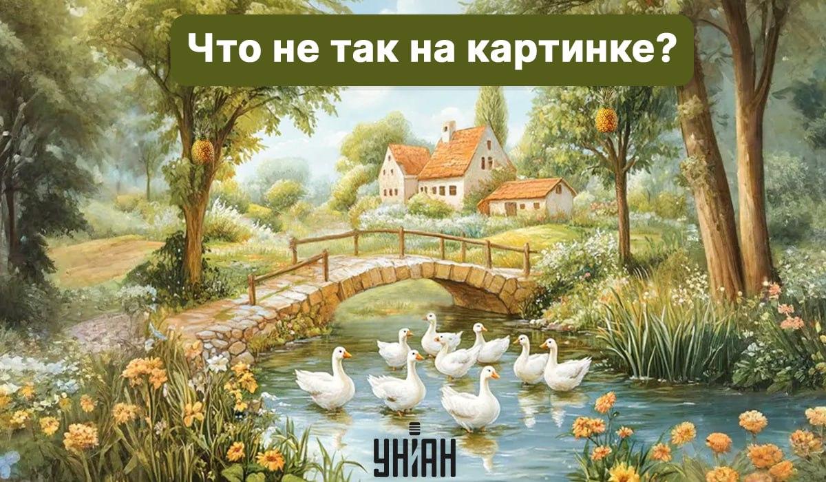 Moje collage Moje collage