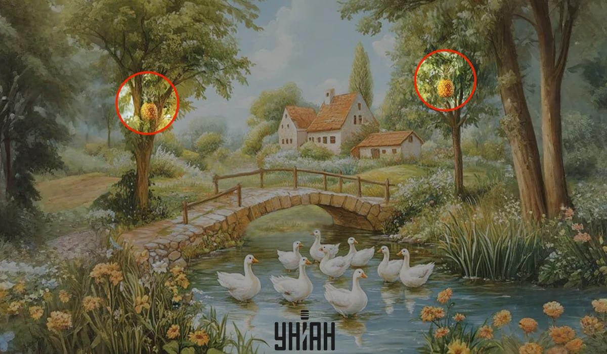 Moje collage med lösning Moje collage med lösning