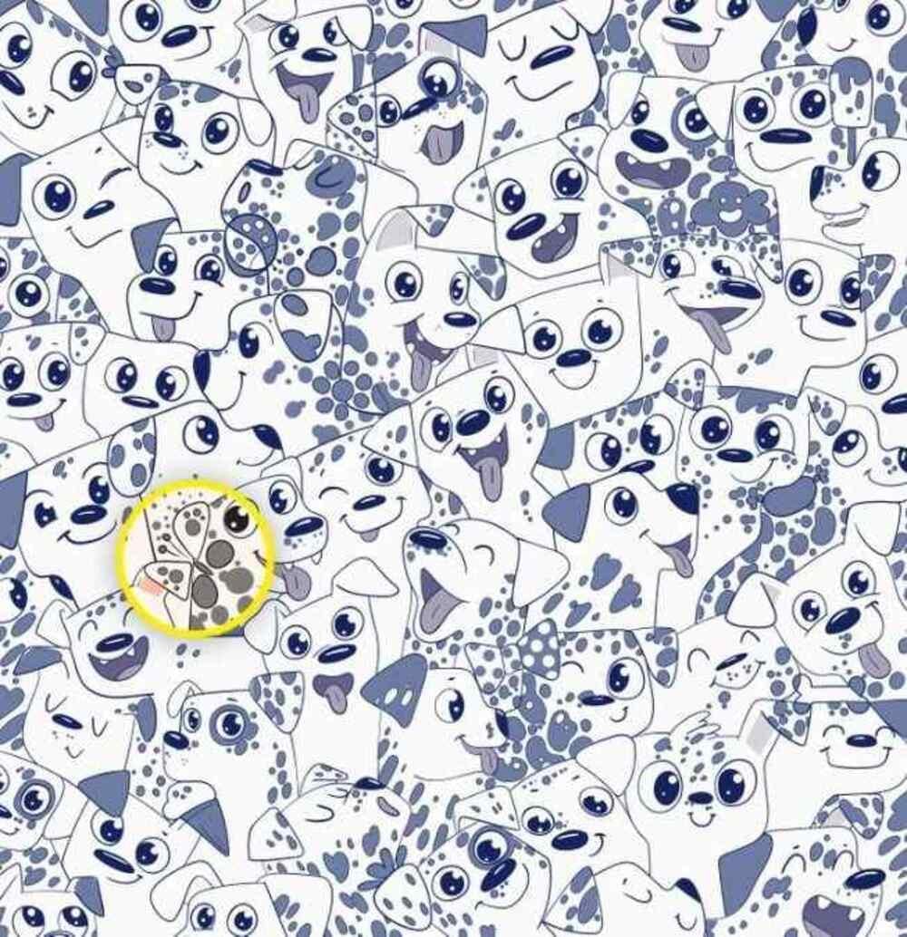 Fjärilen var på höger sida / Brightside-teckning