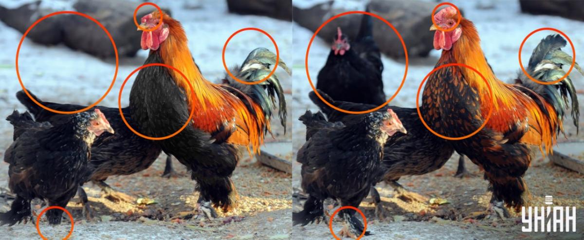 Det var nödvändigt att vara uppmärksam på små detaljer / collage Moje