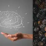 Alla ser kottar, men du måste hitta en igelkott på 7 sekunder: ett IQ-test Alla ser kottar, men du måste hitta en igelkott på