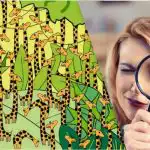 Endast personer med hög IQ kommer att hitta en orm