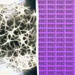 Enkelt IQ-test: hitta det extra talet på 9 sekunder