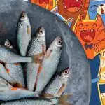 Hitta fisken bland katterna: ett roligt pussel för personer med