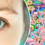 Hitta flickan bland flamingorna på 8 sekunder: detta pussel kommer