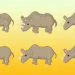 Hur många noshörningar finns det på bilden: bara ett geni skulle kunna räkna rätt på 10 sekunder Hur många noshörningar finns det på bilden: bara ett geni