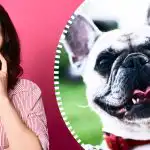 Supersofistikerad optisk illusion: bara en riktig detektiv kan hitta en