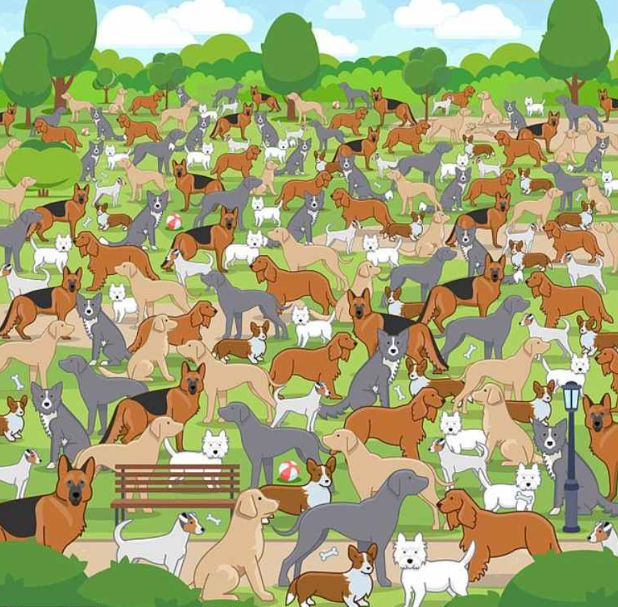 Jagranjosh foto Jagranjosh foto