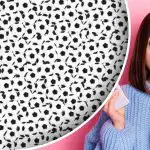 Var pandan är gömd: endast personer med "örnblick" kan hitta