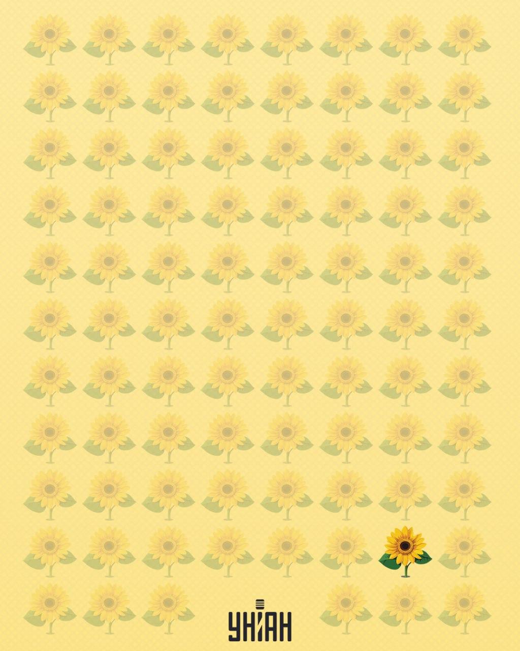 En solros som saknade ett kronblad kallades konstig / Moje collage