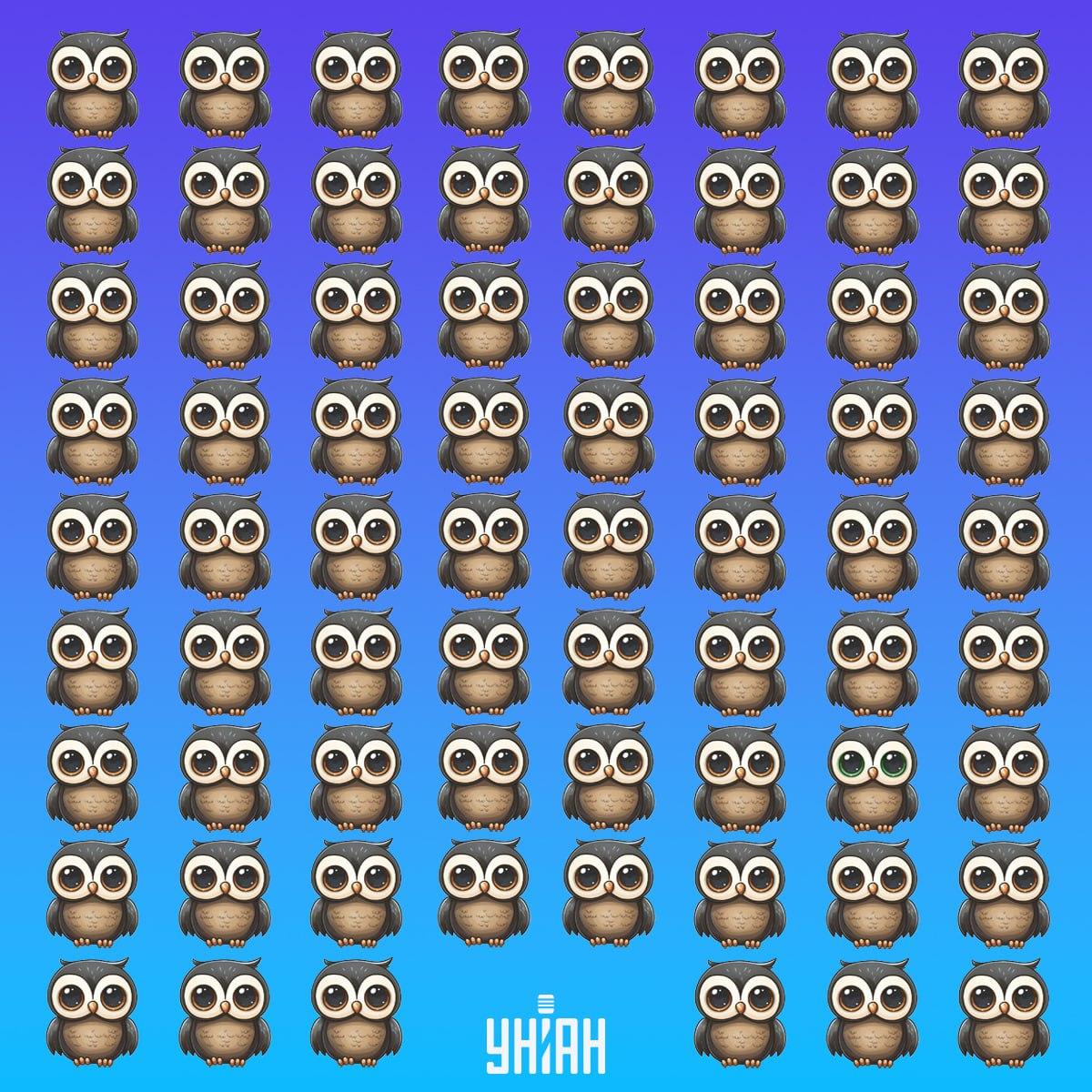 Hitta en sällsynt fågel i tid / Moje collage