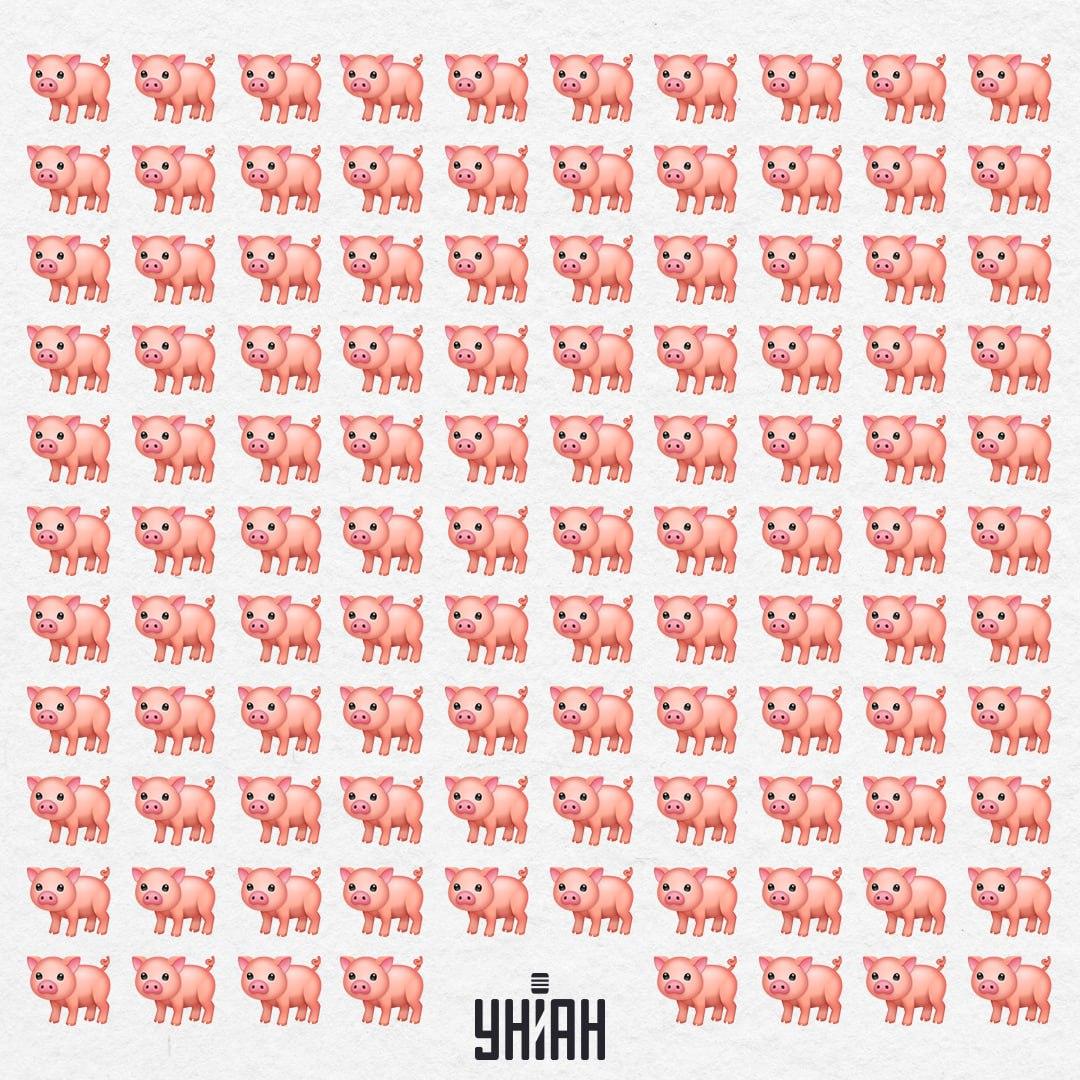 Vår gris finns där ute någonstans, den kommer inte att fånga vårt öga så lätt / Moje Collage