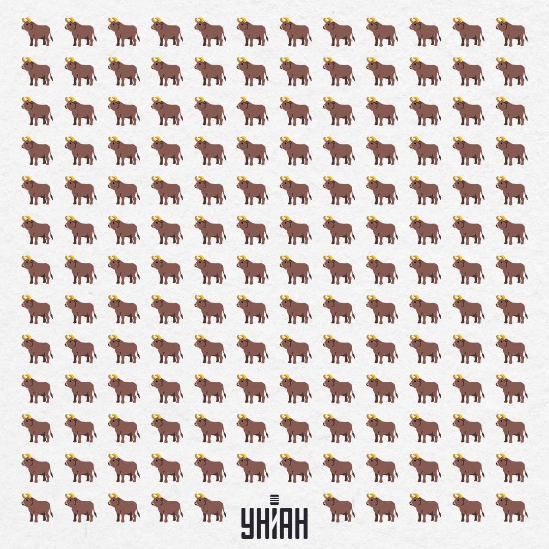 Det finns 154 av dem här, men en är inte så här - du bör se den på 10 sekunder / Moje Collage