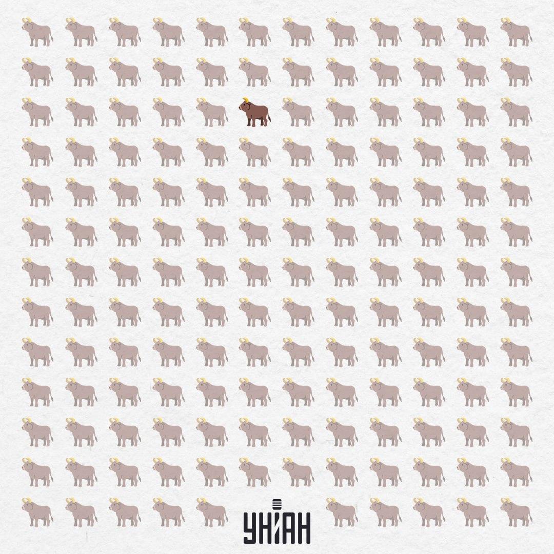 Han gömde sig i mitten, nästan uppifrån / Moje Collage