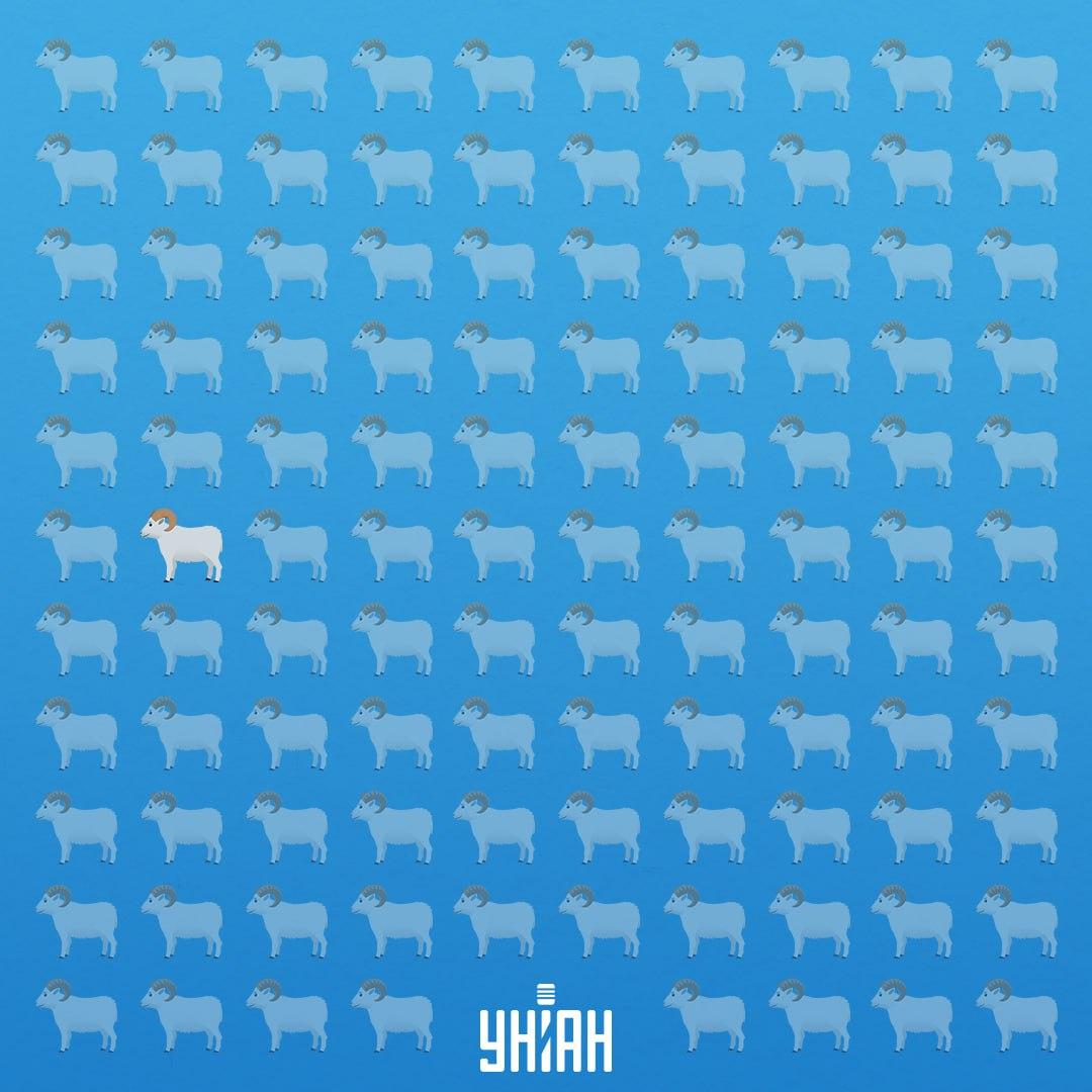 Han var i den sjunde raden på vänster sida / Moje Collage