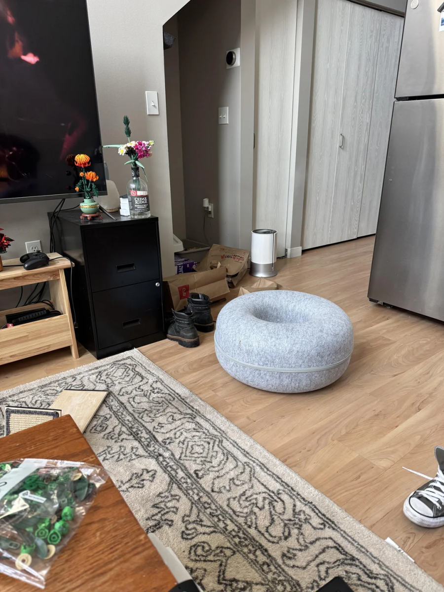 Ser du en rödhårig katt på fotot? 