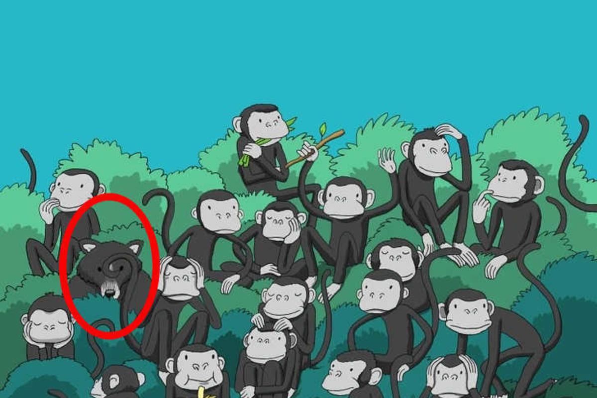 Försök att lösa pusslet på några sekunder / Bright Side drawing