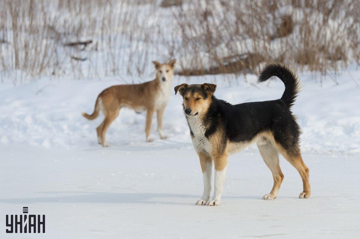 Försök att förstå på 8 sekunder vad som är fel i pusselfoto / collage från Moje-foto Försök att förstå på 8 sekunder vad som är fel i fotopusslet / collaget från Moje-foto