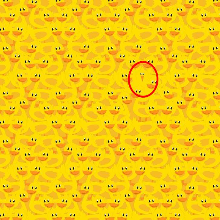 pussel kyckling lösning pussel, kyckling lösning