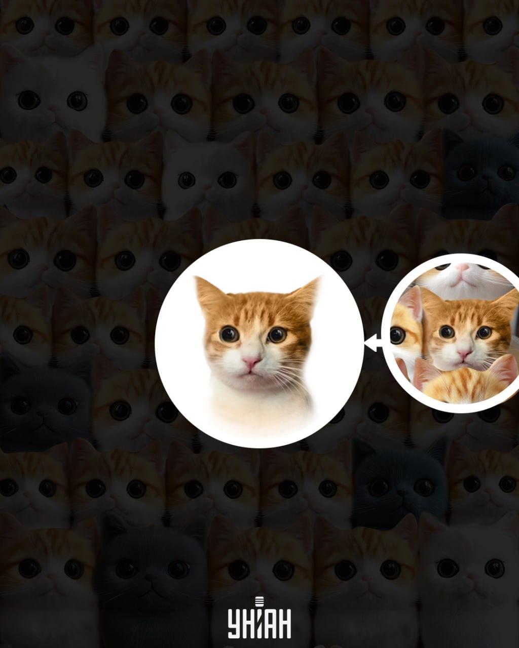 Moje collage med lösning