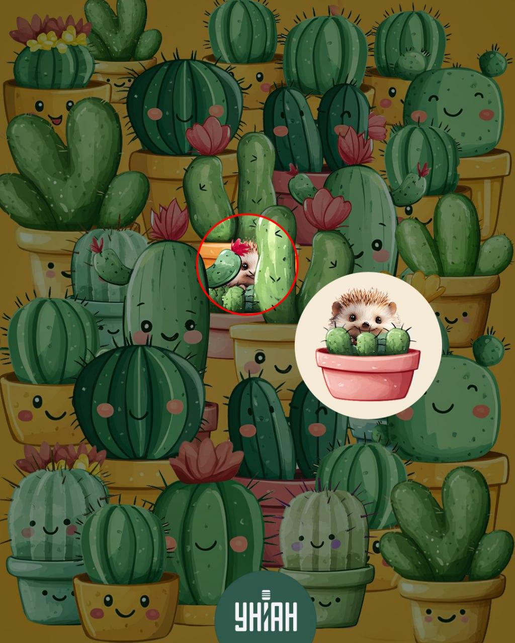 Moje collage Moje collage med lösning