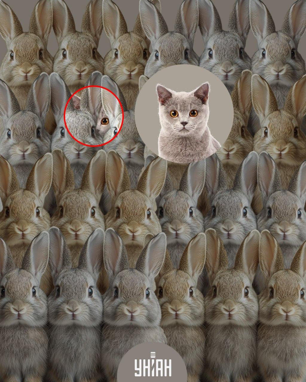 Moje collage Moje collage med lösning