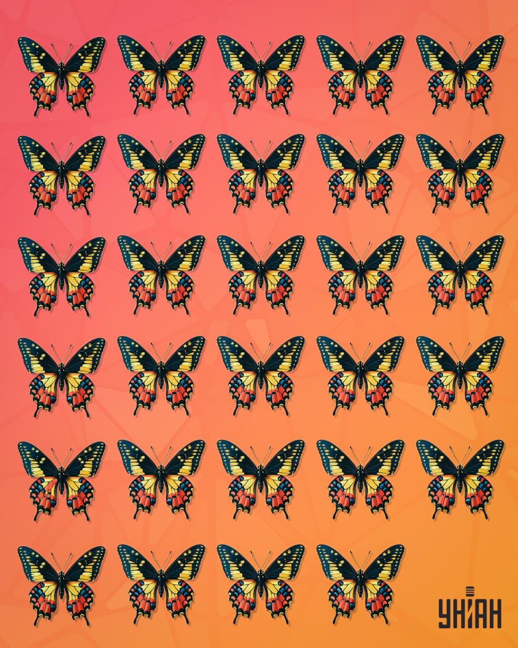 Fjärilen, som kan kallas märklig, bör sökas / Moje collage En fjäril som kan kallas märklig bör spåras upp / Moje collage