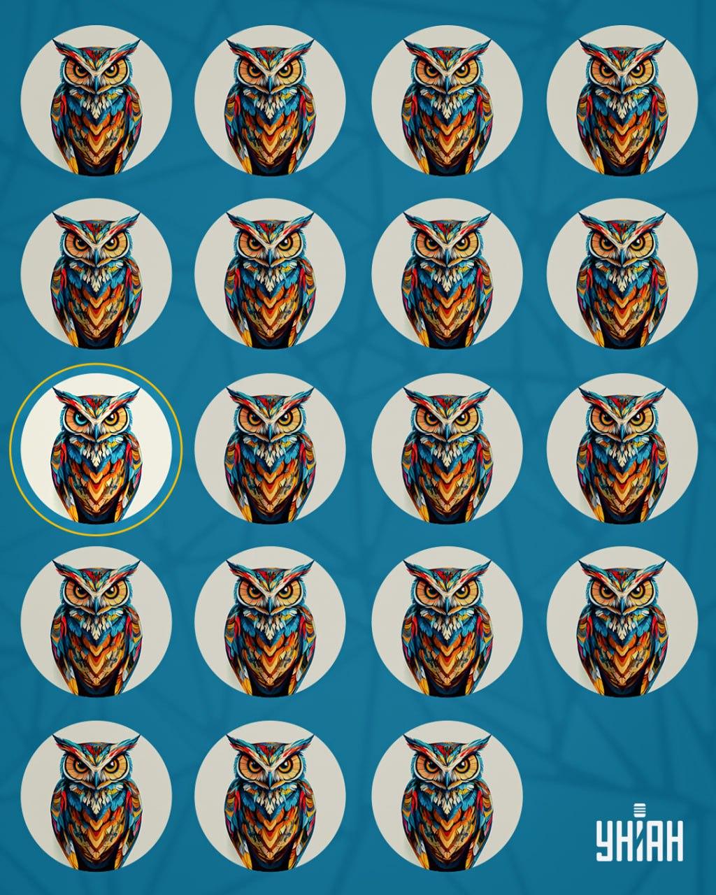 Lösning på ugglepusslet